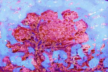 Print of Abstract Floral Paintings by ageliki baka