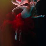 Fluid by LOLA MITCHELL