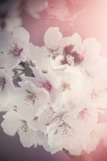 Saatchi Art Artist LOLA MITCHELL; Photography, “Cherry Blossoms” #art