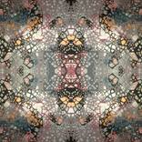 Fractal 