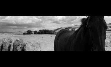 Print of Horse Photography by mick macdougall