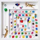 Amazing Pig #52 - Cat Lovers by Seunghwui Koo