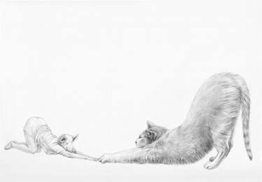 Print of Figurative Cats Drawings by Seunghwui Koo