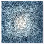 Collection 2021 New Voices