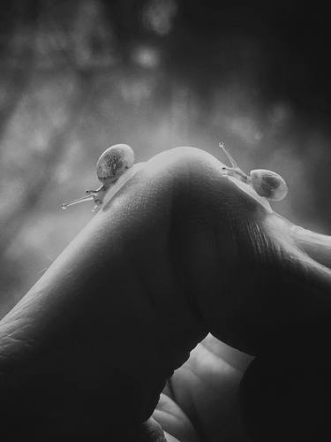 Original Animal Photography by Katarzyna Weremko