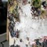 close-up detail 3