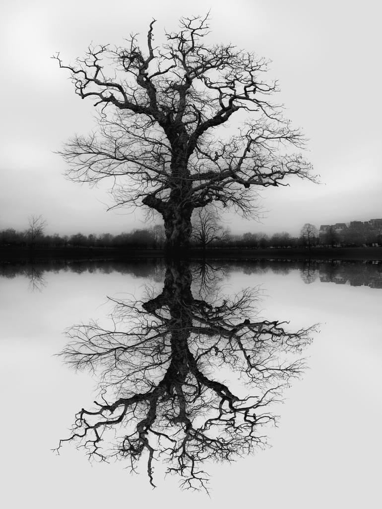 Mirroring - Limited Edition of 25 Photography by Konstans Zafeiri ...