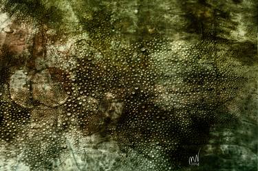 Original Abstract Digital by Mirja Nuutinen