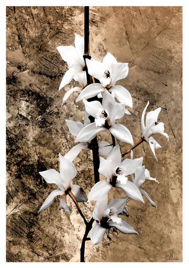 Print of Realism Floral Digital by Mirja Nuutinen