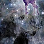 Collection Cosmic Wonders