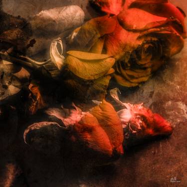 Original Figurative Floral Digital by Mirja Nuutinen