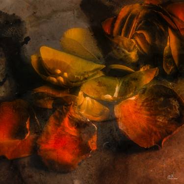 Print of Figurative Floral Digital by Mirja Nuutinen