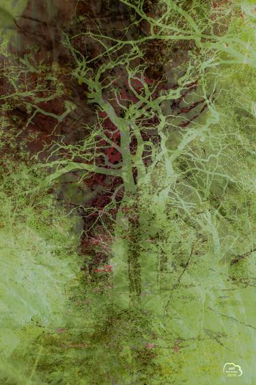 Original Figurative Tree Digital by Mirja Nuutinen