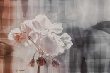 Original Fine Art Floral Digital by Mirja Nuutinen