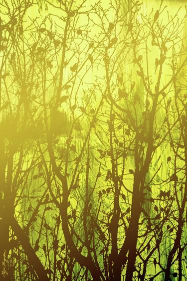 Original Expressionism Nature Digital by Mirja Nuutinen