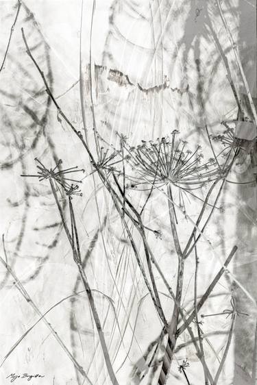 Original Expressionism Nature Photography by Mirja Nuutinen