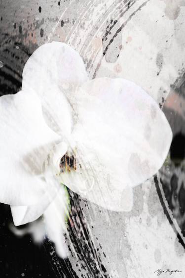 Print of Expressionism Floral Photography by Mirja Nuutinen