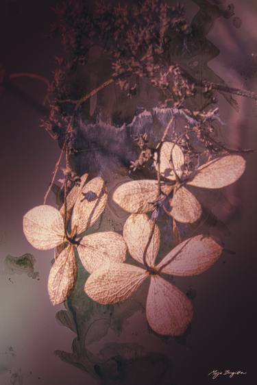 Original Floral Digital by Mirja Nuutinen