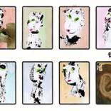 Collection FRAGMENTS