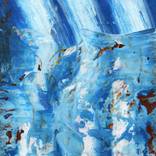 Collection TRANSMUTACIÓN