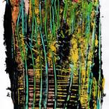 Collection LUZ Sutil y Deshabitada.