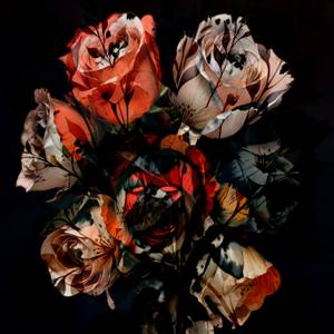 Collection FLORES.