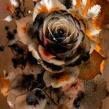 Collection FLORES.