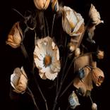 Collection FLORES.