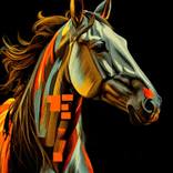 Collection CABALLOS.