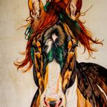 Collection CABALLOS.