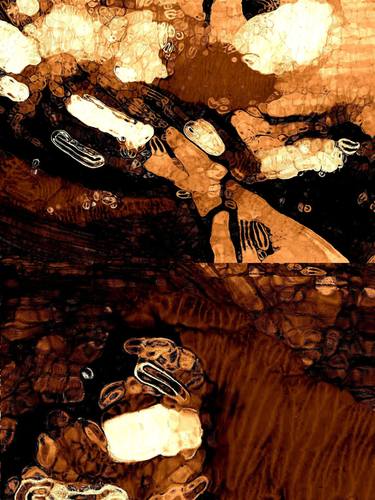 Original Abstract Expressionism Abstract Photography by Cris Acqua