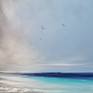 A storm comes in, it passes over and leaves a stunning clear horizon ahead. This piece used a simple palette of natural hues, that produce an emotional seascape.

This painting is on artist quality slimline cotton canvas, and stretched with strong wooden bars. With painted sides and varnish it is ready to go with no need for a frame. There is a signature on the front and on the reverse is the Title, a date and signature. All my works are accompanied with a unique Certificate of Authenticity.

All my works are gently and individually packaged and their protection is reinforced with strong cardboard packaging to secure safe passage. Paintings are sent tracked, and a signature is requested upon delivery.

Please see my other pieces for more colour creations :)