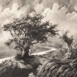 Collection Landscape