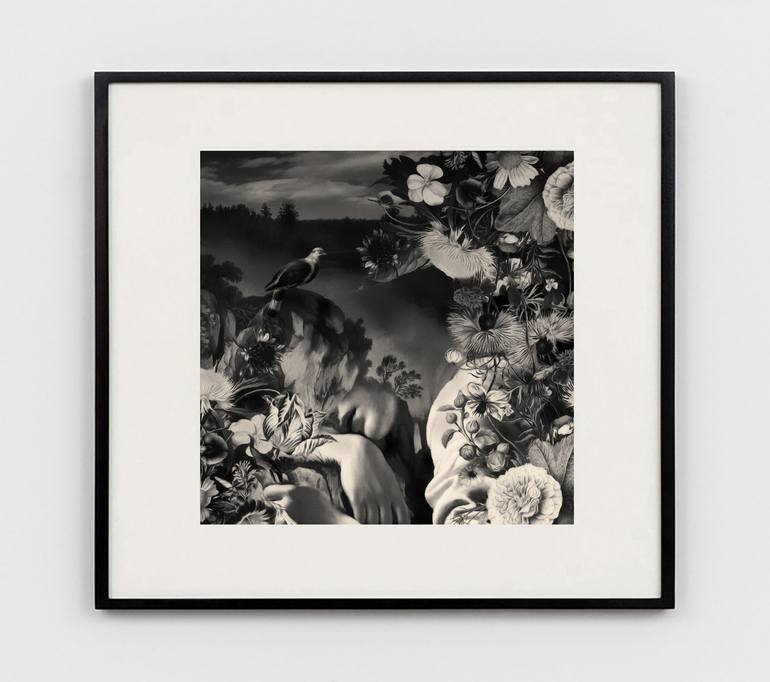 Original Figurative Botanic Photography by Patrick Gonzales