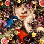 Collection Curator Favorites: Surrealism | Fall 2020 Vol. 1 Catalog