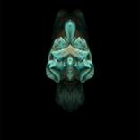 Object Of Wonder 66 — Limited Edition Print 1 of 69 by Gary Michael Keyes