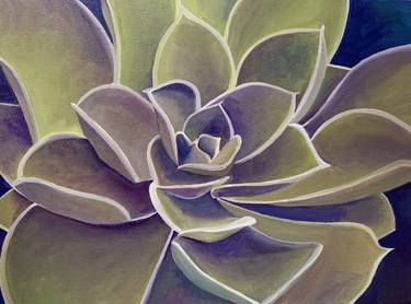 Original Fine Art Botanic Paintings by Rebecca Lloyd
