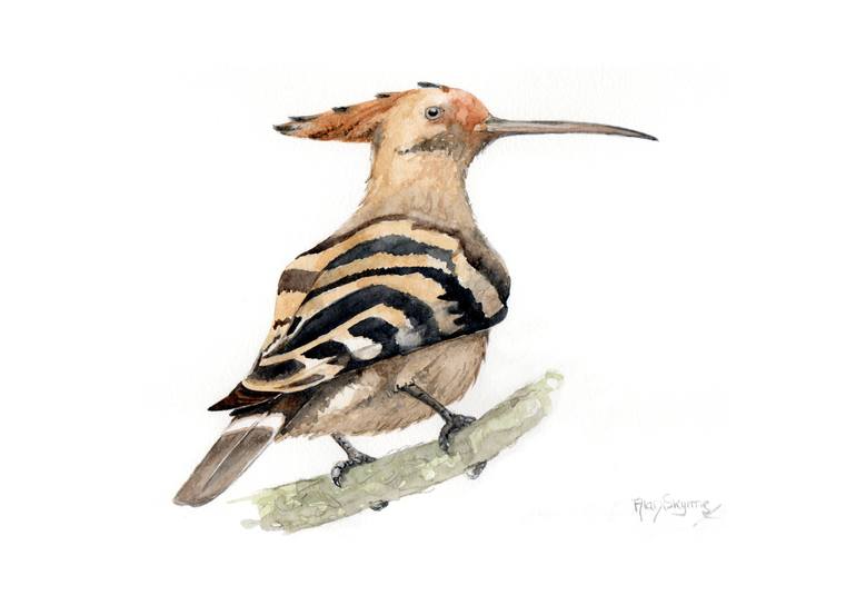 European Hoopoe (asg00238) Painting by Alan S Skyrme | Saatchi Art