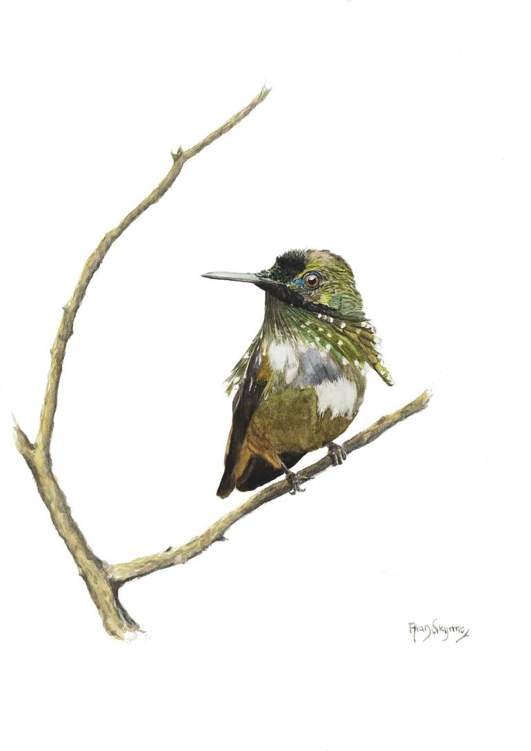 Original Figurative Animal Paintings by Alan S Skyrme