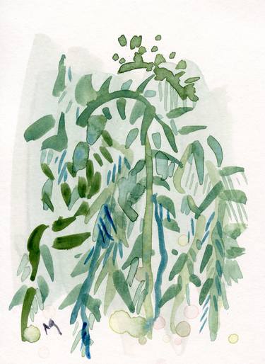 Original Abstract Botanic Drawings by Gabriele Maurus