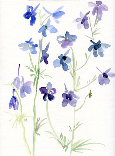 Delphinium grandiflorum thumb