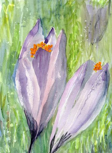 St. Andrew's Crocus thumb