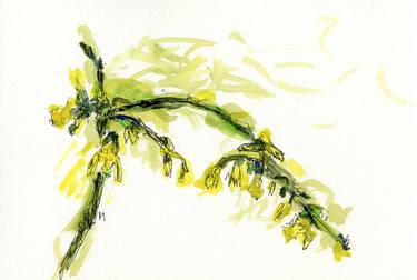 Original Abstract Botanic Drawings by Gabriele Maurus