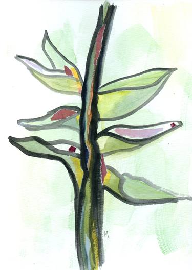 Original Abstract Botanic Drawings by Gabriele Maurus