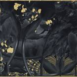 Black iris by Vladas Orzekauskas