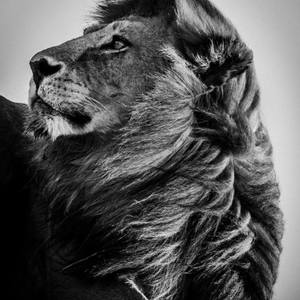 Collection Featured Photography