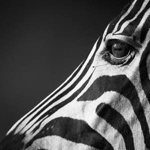 Satya Twena (milliner & entrepreneur) and Jeffrey Zurofsky (restauranteur)