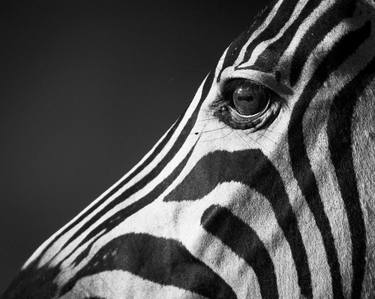 Original  Photography by Laurent Baheux