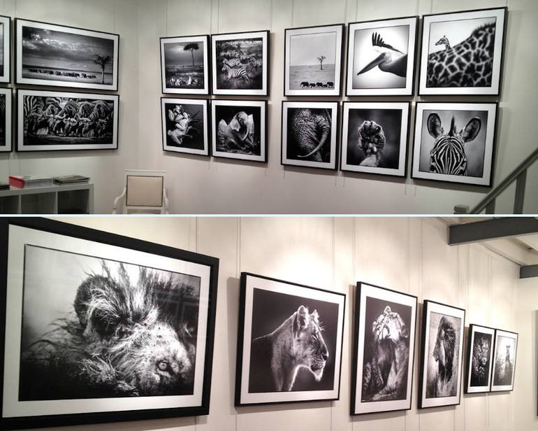Original Figurative Animal Photography by Laurent Baheux