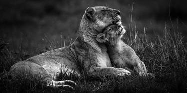 Lioness and its cub (4169) - Limited Edition 2 of 5 thumb